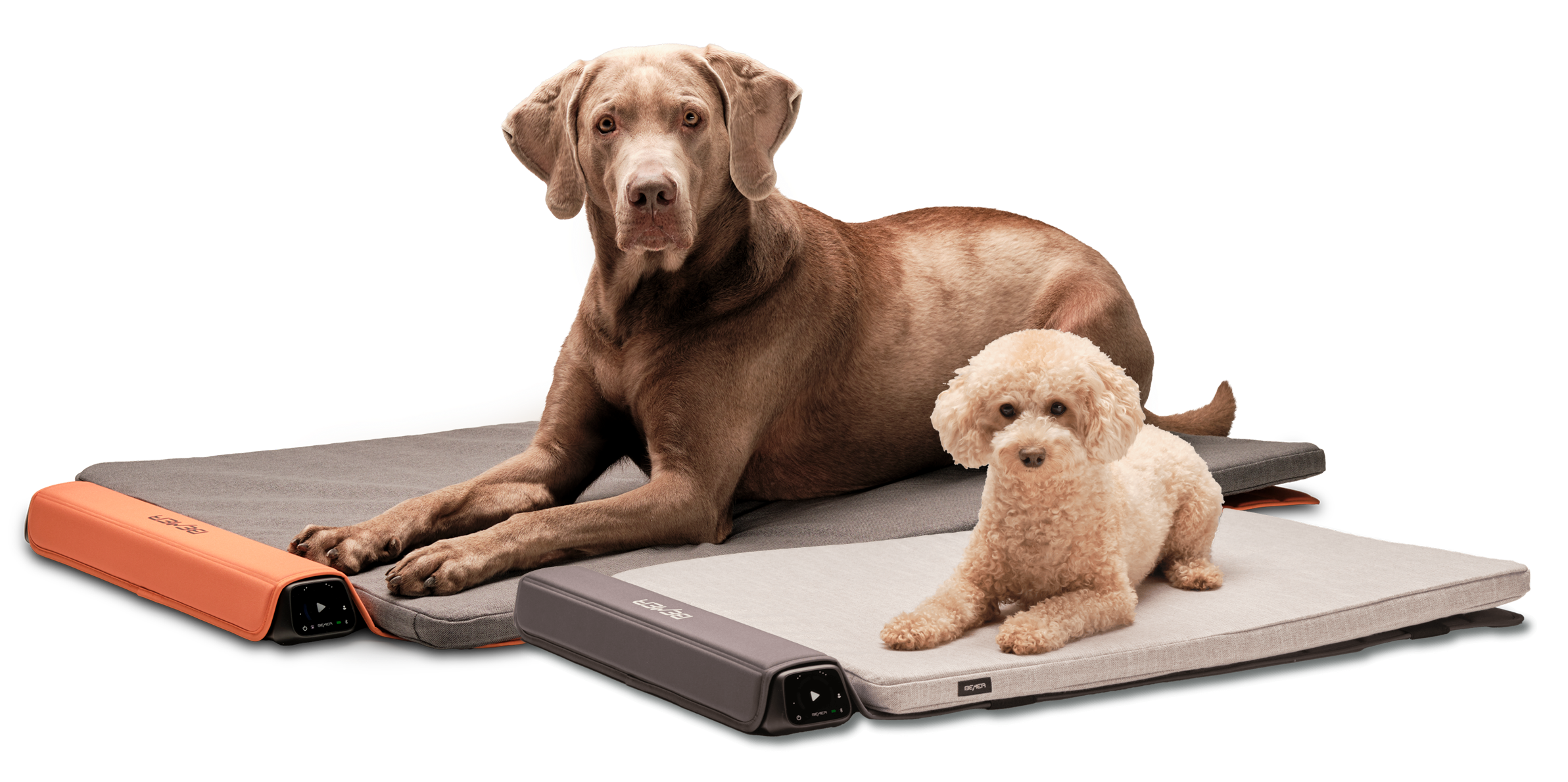 BEMER Dog Line 